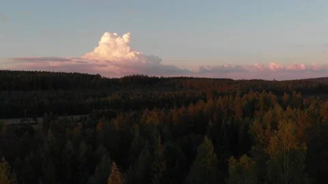 Summer evening. Flying over forest. Nice cumulus clouds Stock Footage 134801716
