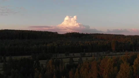 Summer evening. Flying sideways over forest. Nice cumulus clouds at horizon Stock Footage 134801714