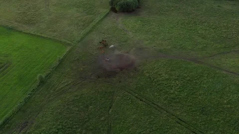 Summer Evening Stock Footage 248901698