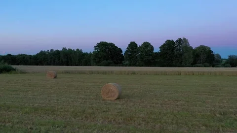 Summer Evening Stock Footage 250375600