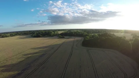 Summer evening landscape with crop fields aerial view from drone Stock Footage 78414443