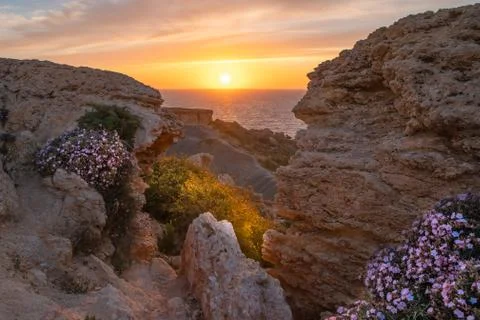 Summer evening landscape Stock-Fotos