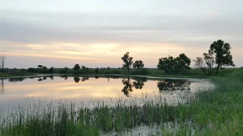 Summer Evening Landscape Swamp Forest Trees Silhouettes Lake Sunset Reflection Stock Footage 64580030