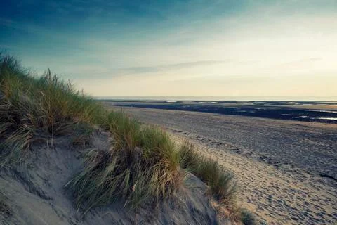 Summer evening landscape view over grassy sand dunes on beach with instagram Stock Photos