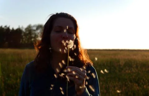 Summer evening mood 库存照片