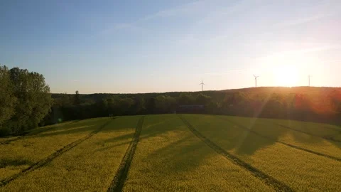 Summer Evening Over Blooming Rapeseed Fields (Color Graded) Stock Footage 297210165