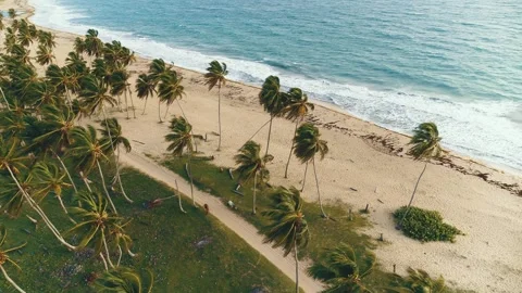 Summer evening on a palm sandy beach in a sea bay with clear azure water. Stock Footage 252107469