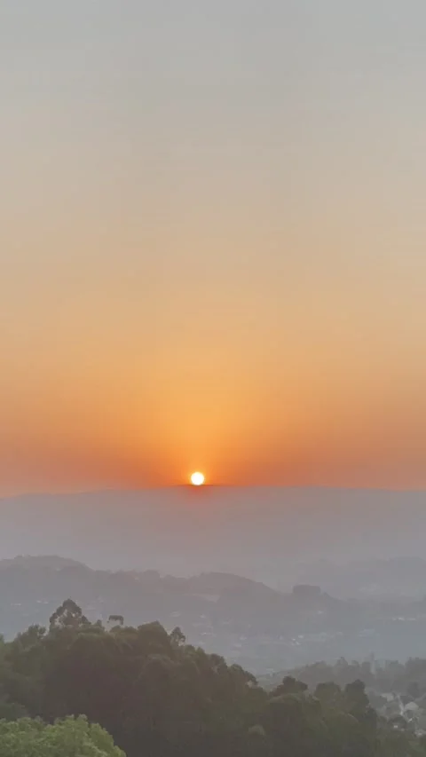 Summer evening with panoramic sunset, green trees, and hill view 🌄🌳 動画素材 310964694