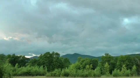 Summer evening before a rain, a large quantity of mosquitoes 動画素材 12327395