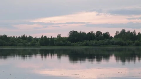 Summer evening on the river surrounded by green trees Stock Footage 300881120
