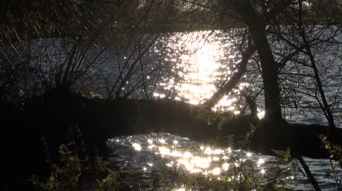 Summer evening sunlight sparkling shining  on lake water Stock Footage 46572563