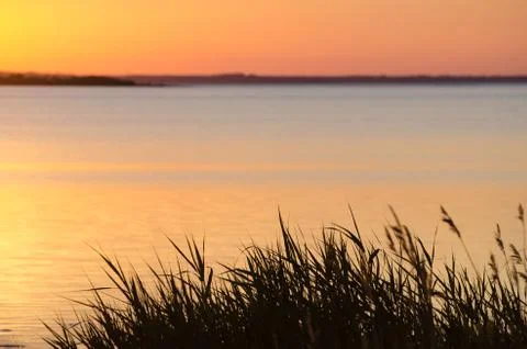 Summer evening sunset Stock Photos
