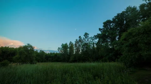 Summer evening time lapse with forest and meadow under sunset sky. Stock Footage 244769006