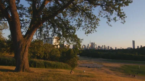 Summer evening in Toronto. Riverdale park in Toronto. Stock Footage
