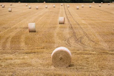 Summer Farm Scenery with Haystack on the Background of Beautiful Sunset. Agri Stock Photos