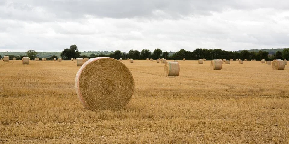 Summer Farm Scenery with Haystack on the Background of Beautiful Sunset. Agri Stock Photos
