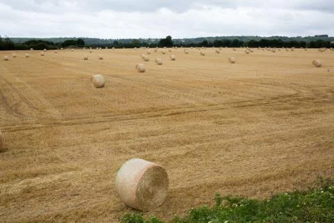 Summer Farm Scenery with Haystack on the Background of Beautiful Sunset. Agri Stock Photos