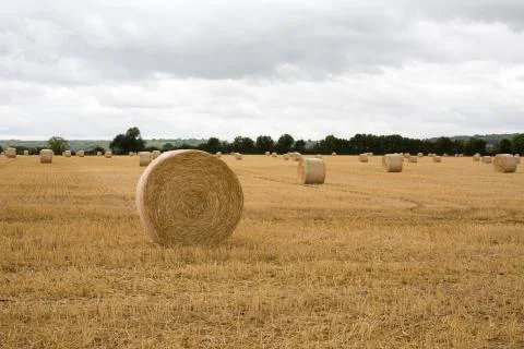 Summer Farm Scenery with Haystack on the Background of Beautiful Sunset. Agri Stock Photos