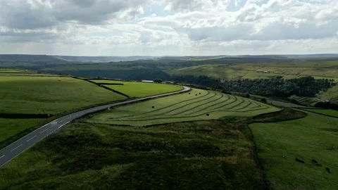 Summer farming video with patchwork fields panorama with groves and trees, Stock-Footage 208837029