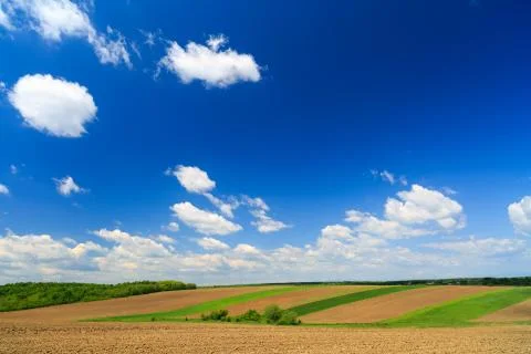 Summer farmland landscape with patchwork fields and hedgerows Stock Photos