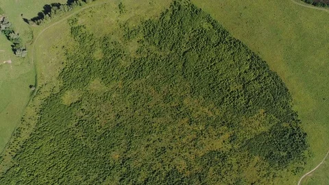 Summer field aerial view Stock Footage 84575407