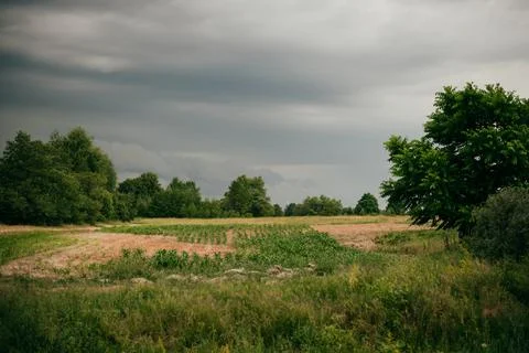 Summer field and dramatic sky before storm. Dark ominous clouds. Stock Photos