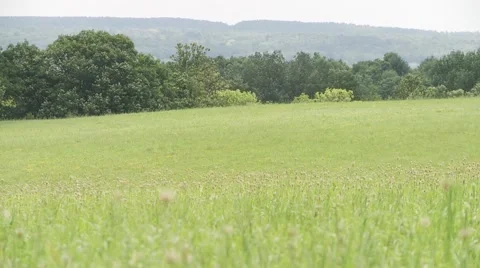 Summer field in the Catskills Stock Footage 67755261