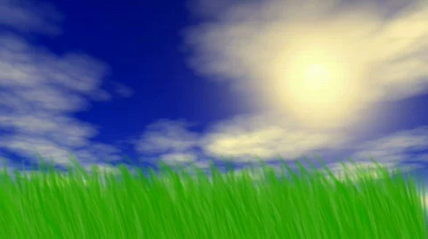 Summer field Stock Footage 613107