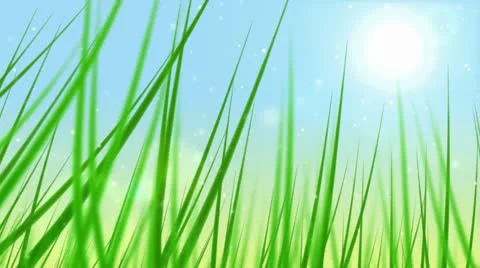 Summer field. Stock-Footage 9433330