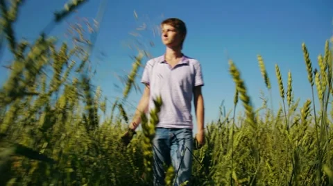 In summer field Stock-Footage 11428283