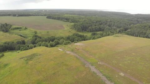 Summer Field Stock Footage 245501758