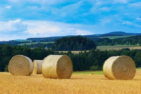 Summer field with haystacks Stock Photos
