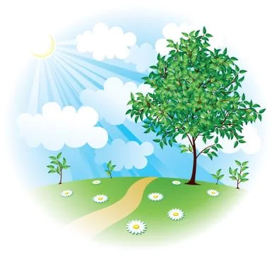 Summer field Stock-Illustration