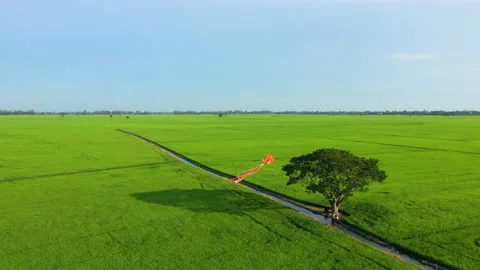 Summer field with kite fly on the sunset sky Stock Footage 158065816