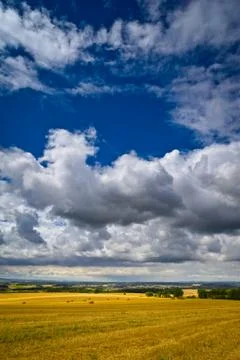 Summer field Stock Photos