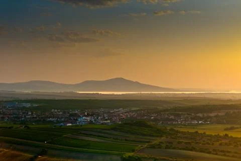 Summer field Foto stock