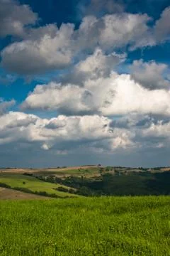 Summer field Stock Photos