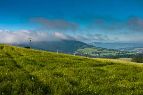Summer field Fotos de archivo