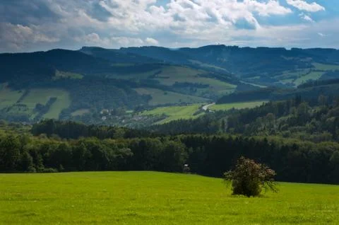 Summer field Foto stock