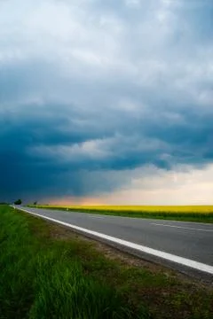 Summer field Stock Photos