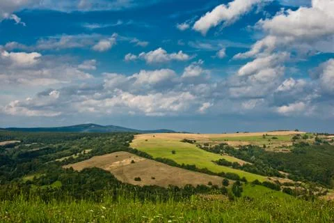 Summer field Stock Photos