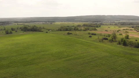 Summer field river Stock Footage 146663261