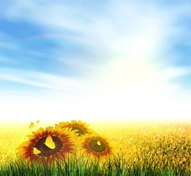 Summer, Field, Sky, Sun, Rainbow, Grass, Sunflowers Stock Illustration
