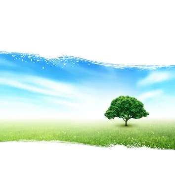 Summer, Field, Sky, Tree, Grass, Flowers Stock Illustration