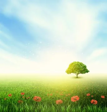 Summer, Field, Sky, Tree, Grass, Poppy Stock Illustration