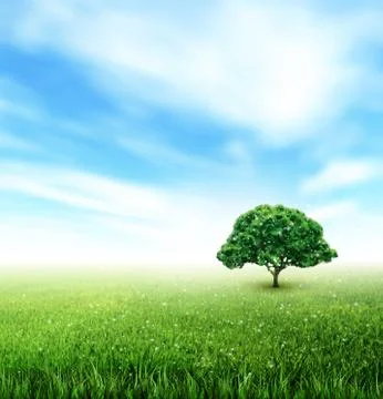 Summer, Field, Sky, Tree, Grass, Flowers Illustrazione stock
