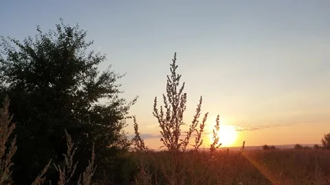 Summer field in sunset light Vídeo Stock 138100531