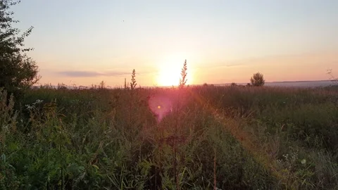 Summer field in sunset light Stock Footage 139298168