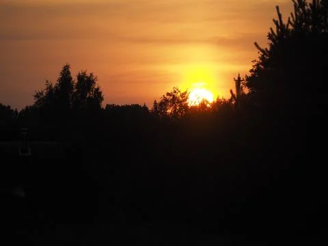 Summer field sunset sun rays evening night Stock Photos
