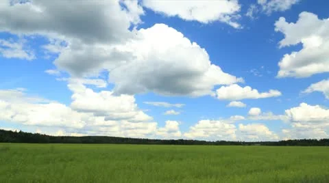 Summer field timelapse 库存影片 11499571